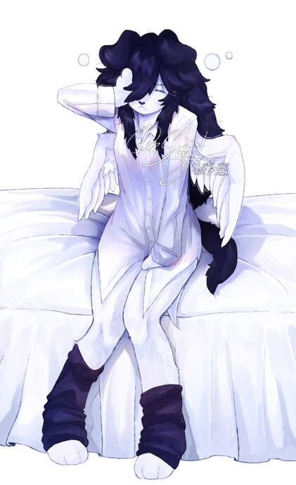 🤍 Full Body: 60$